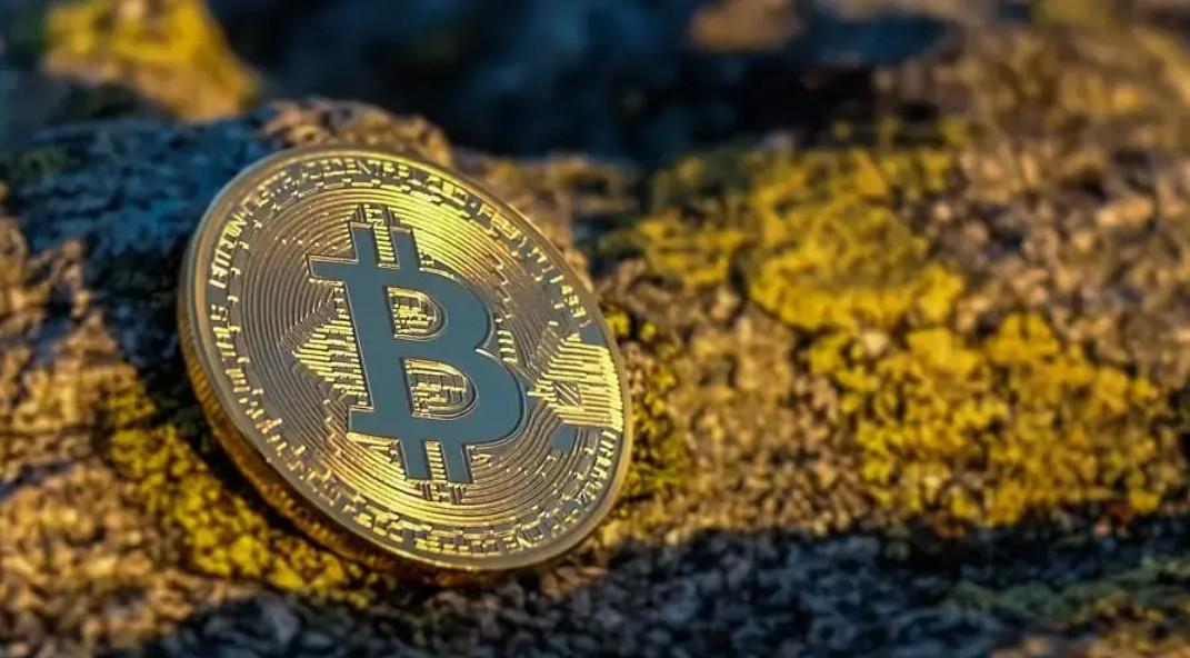 Биткоин вырос — как повели себя акции криптокомпаний: новый обзор рынка